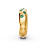 Emerald Nova Band
