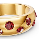 Ruby Nova Band
