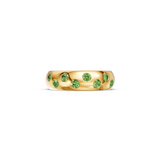 Peridot Nova Band